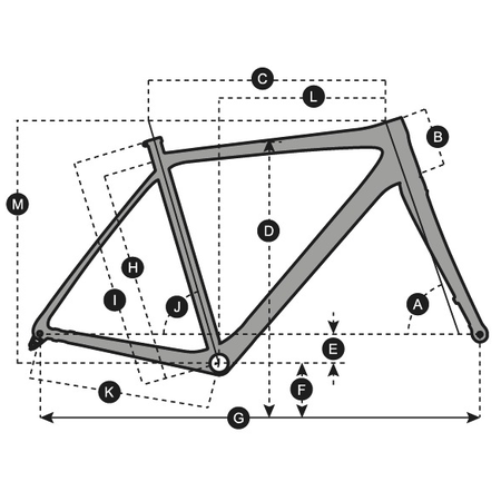 SCOTT SCOTT Contessa Speedster 15 Disc