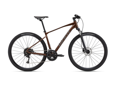 2024 GIANT Roam Disc 2