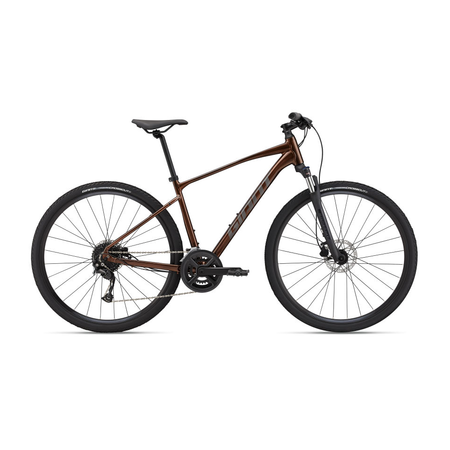 2024 GIANT Roam Disc 2 Laferte Bicycles