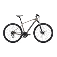 2025 GIANT Roam E+ STA