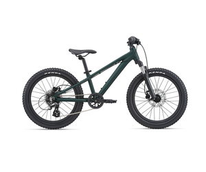 2024 GIANT STP 20 FS Laferte Bicycles
