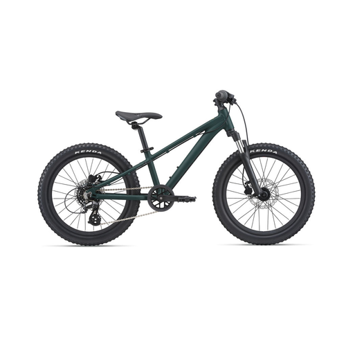 GIANT 2024 GIANT STP 20 FS