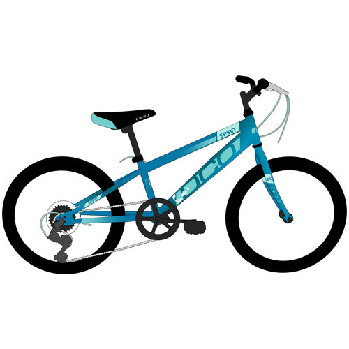 DCO 2023 DCO Spirit 20" Fille DCO 2023 DCO Spirit 20" Fille