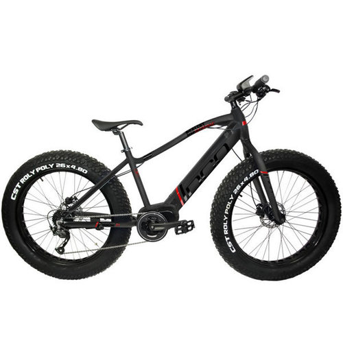 DCO 2023 DCO RealFat-E Extreme 1000w DCO 2023 DCO RealFat-E Extreme 1000w