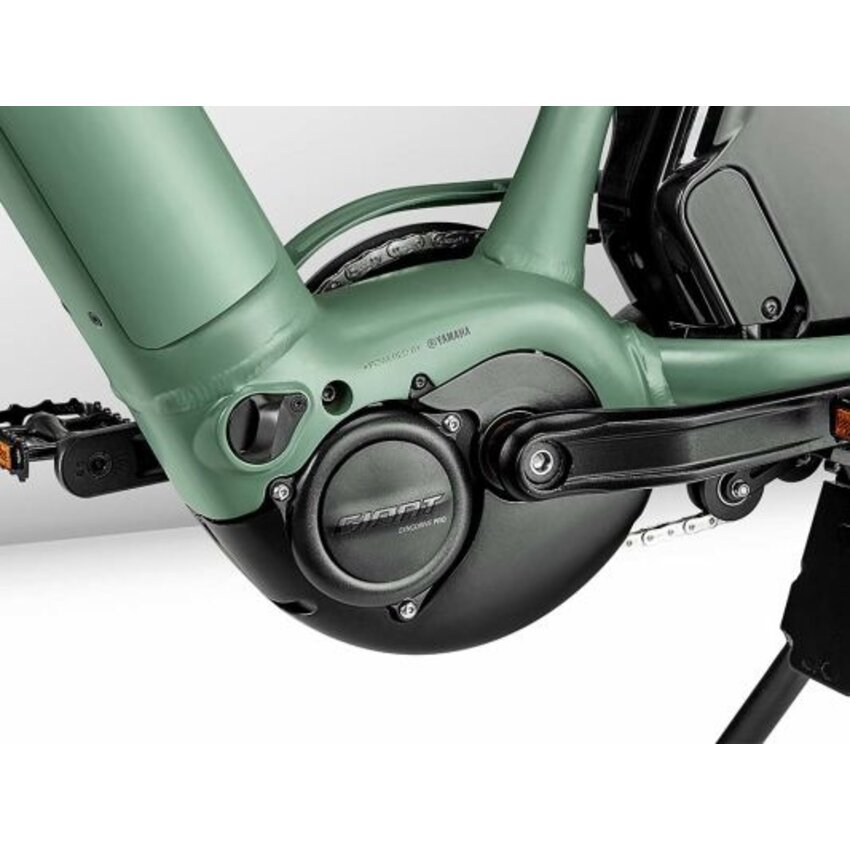 GIANT MOMENTUM GIANT MOMENTUM PakYak E+