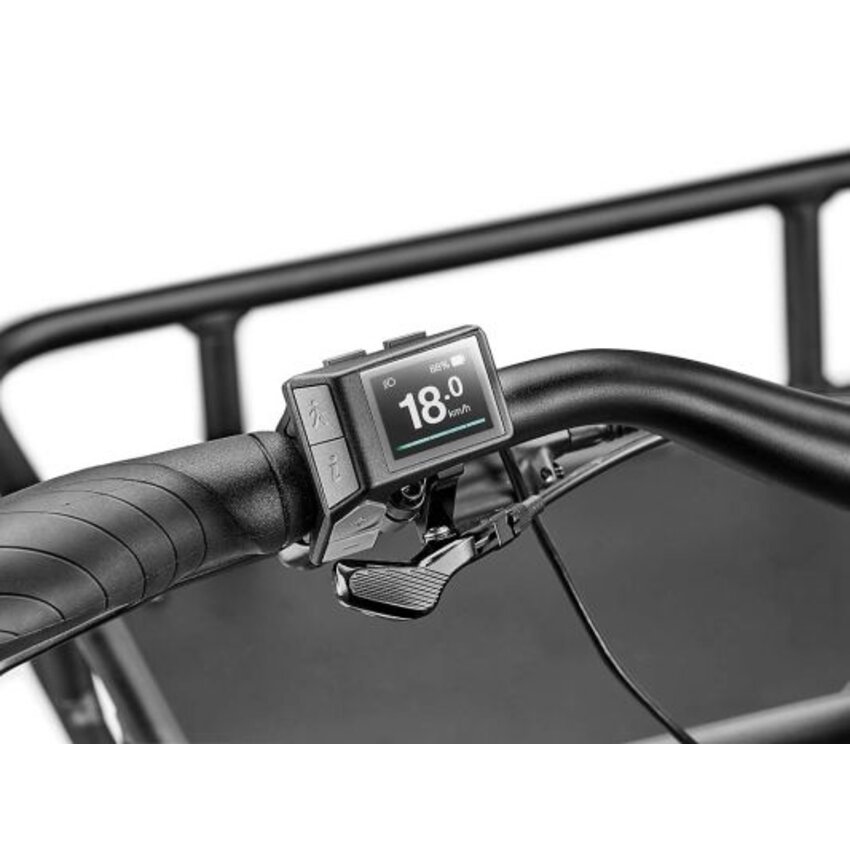 GIANT MOMENTUM GIANT MOMENTUM PakYak E+