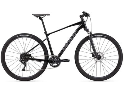 2024 GIANT Roam Disc 2 (1X)