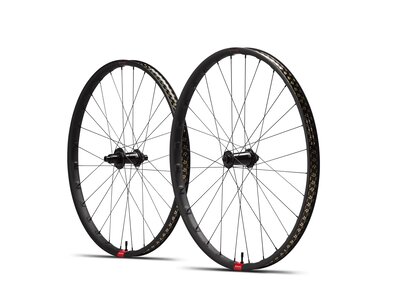 RESERVE Roues 30 SL 29 DT350 110 XD 6b (2024)