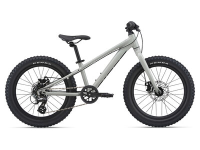 2022 GIANT STP 20 2022 GIANT STP 20