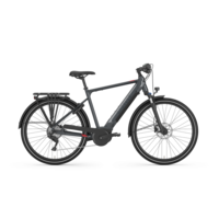 GAZELLE Medeo T10 High-Step