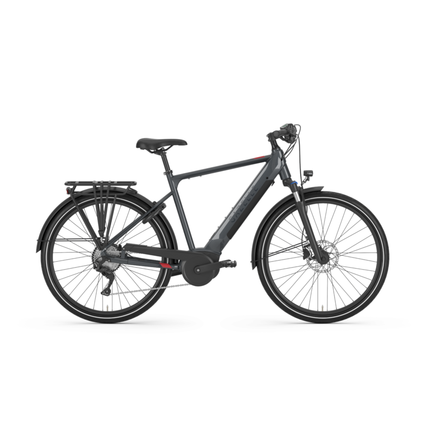 Gazelle GAZELLE Medeo T10 High-Step