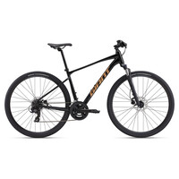 2025 GIANT Roam Disc 4