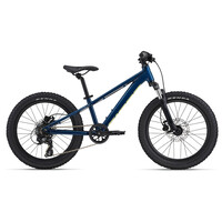 2025 GIANT STP 20 FS