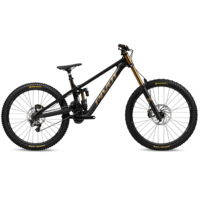 À venir PIVOT Phoenix Pro Saint