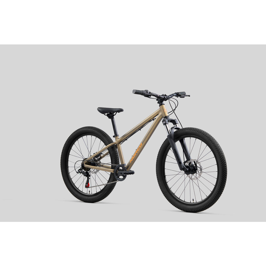 NORCO À VENIR 2025 NORCO Storm S24 Gris NORCO À VENIR 2025 NORCO Storm S24 Gris