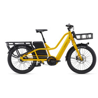 GIANT MOMENTUM PakYak E+