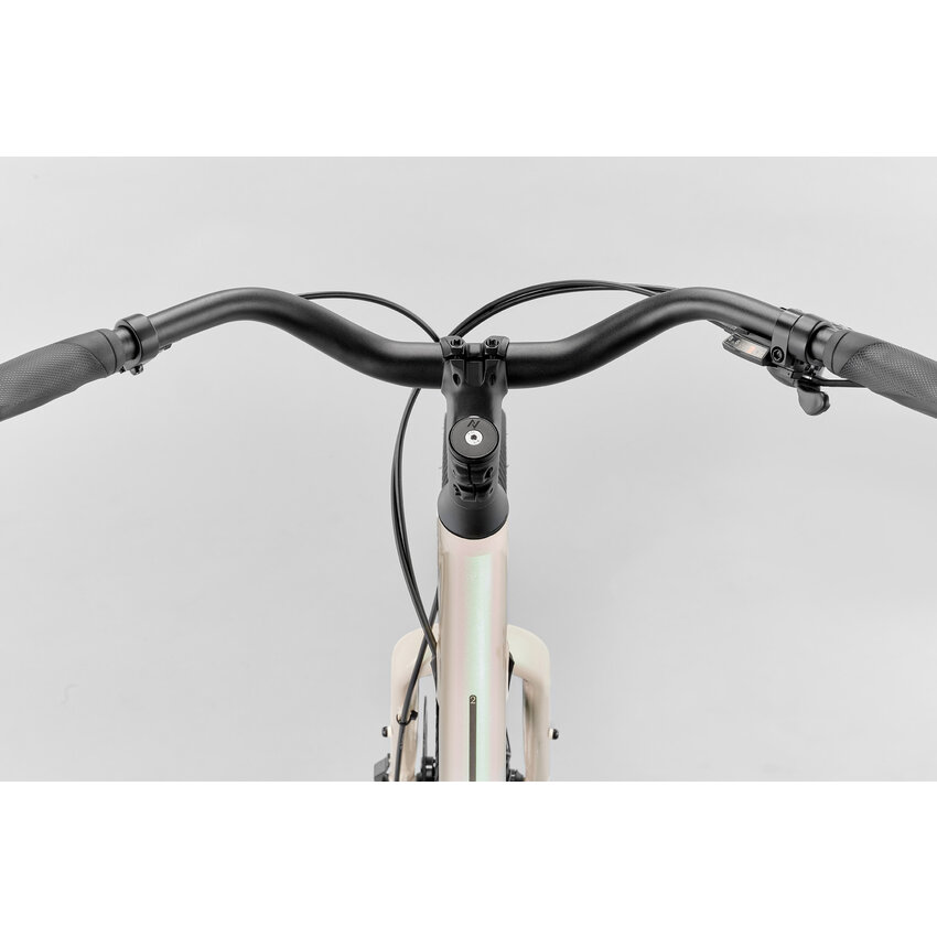 NORCO 2025 NORCO Scene 2 NORCO 2025 NORCO Scene 2