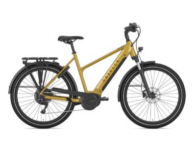 2025 GAZELLE Medeo T10 Mid-Step