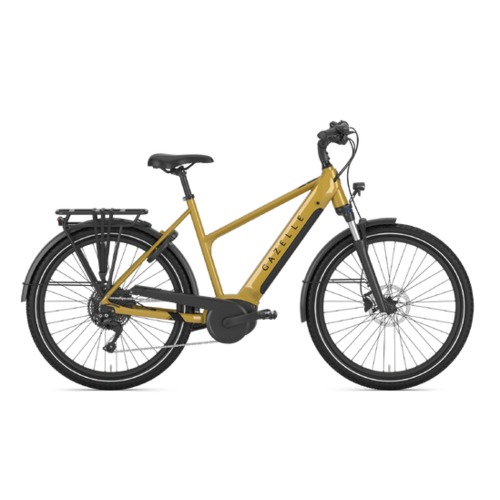 Gazelle 2025 GAZELLE Medeo T10 Mid-Step