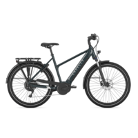 2025 GAZELLE Medeo T10 Mid-Step