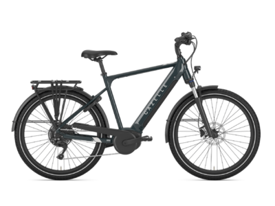 2025 GAZELLE Medeo T10 High-Step