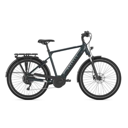 Gazelle 2025 GAZELLE Medeo T10 High-Step