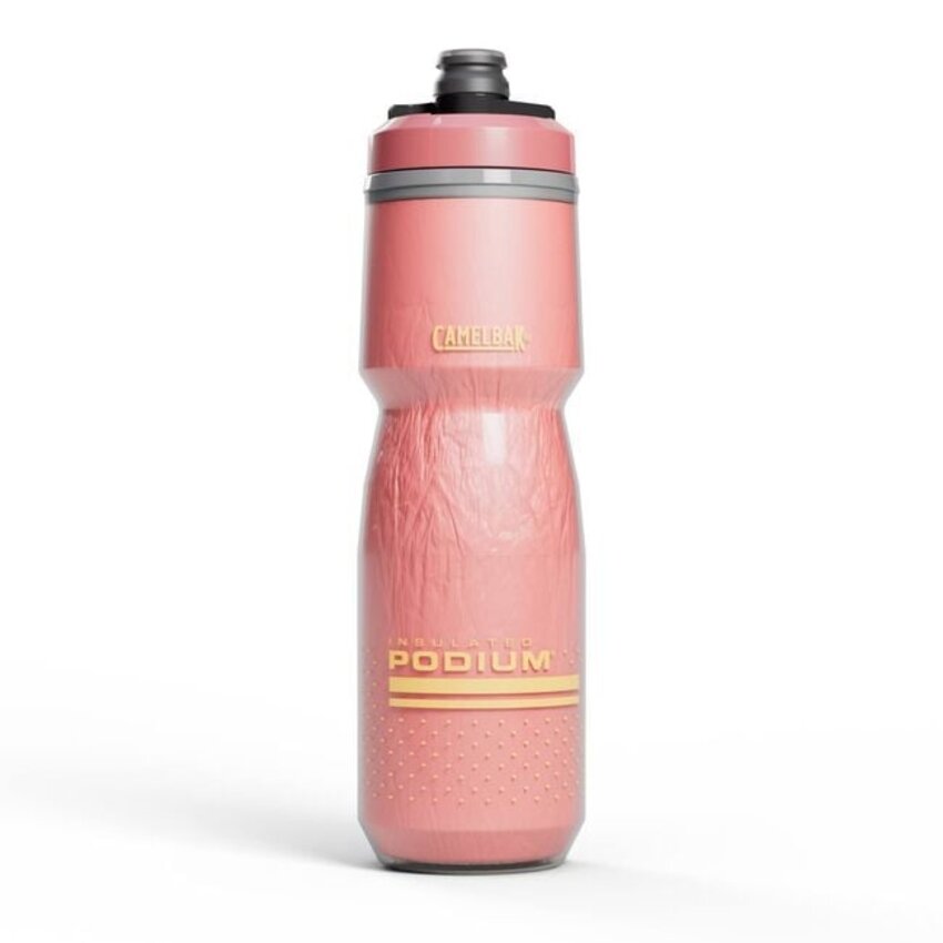 CAMELBAK CAMELBAK Bouteille Podium Chill 24oz (710ml)