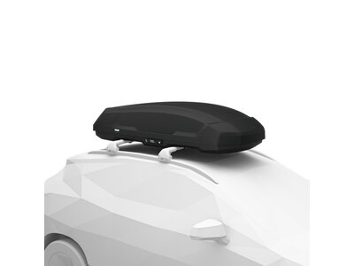 THULE Coffre de toit Force 3 L