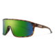 Matte Tortoise + Polarized Green Mirror Lens
