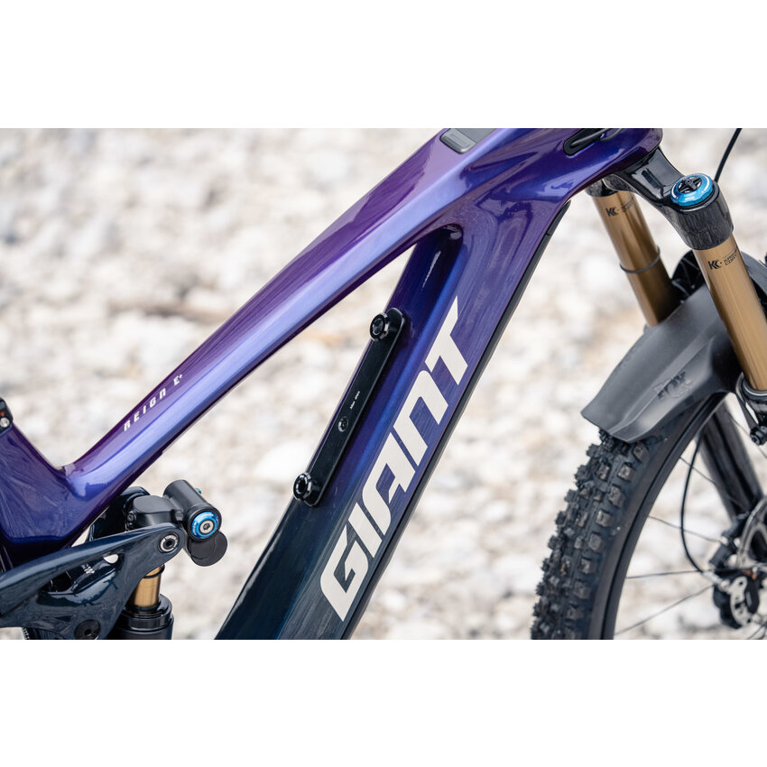 GIANT 2026 GIANT Reign Advanced E+ 0