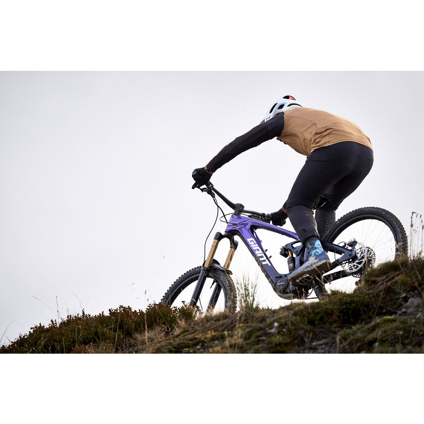 GIANT 2026 GIANT Reign Advanced E+ 0