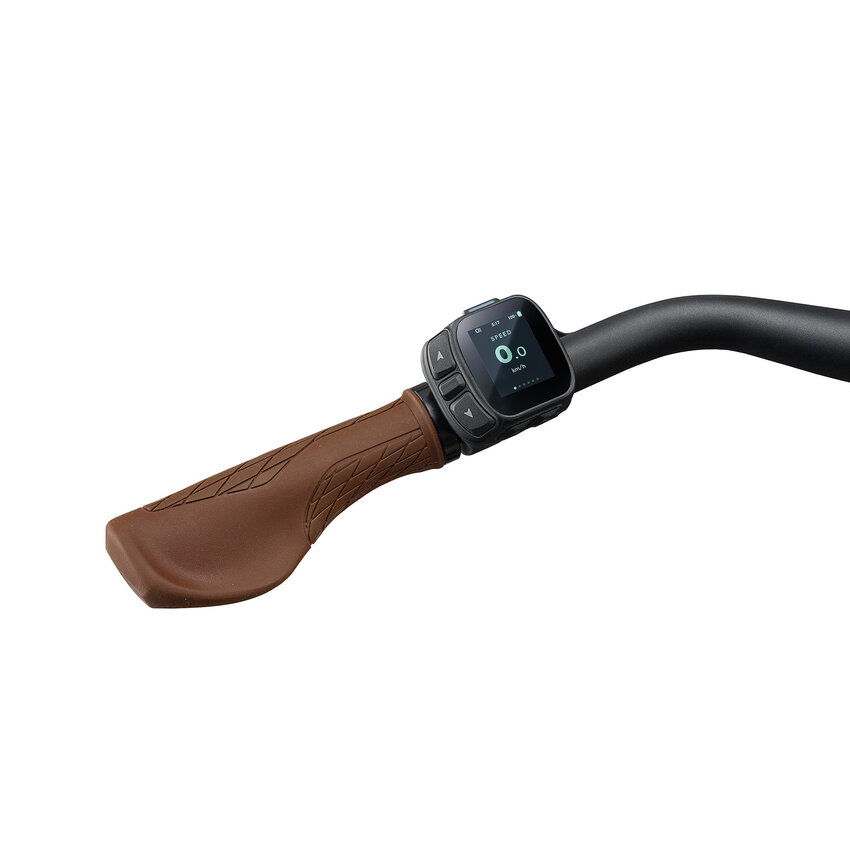 LIV 2026 LIV  Allure E+ 2