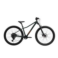 2026 NORCO Charger 26 Gris Vert