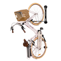 STEADYRACK Support Rangement Mural E-BIKE