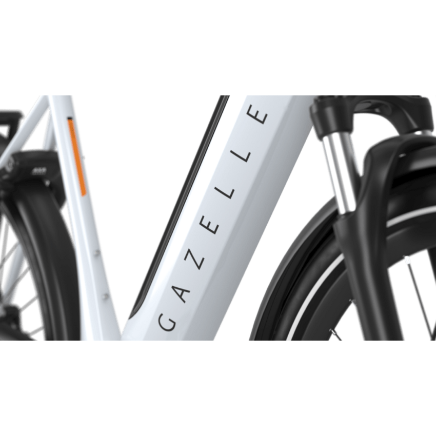 Gazelle 2026 GAZELLE Ultimate T10 LOW