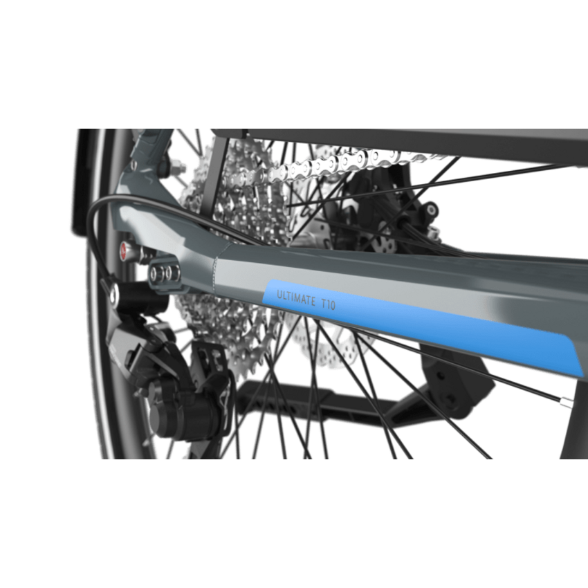 Gazelle 2026 GAZELLE Ultimate T10 LOW