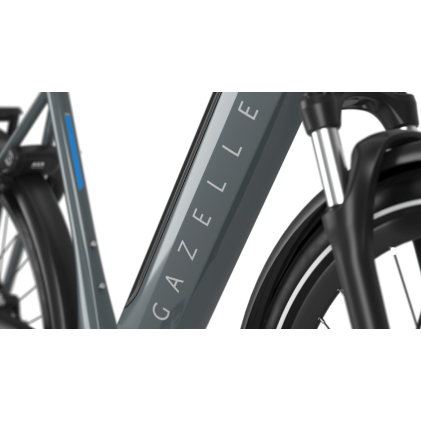 Gazelle 2026 GAZELLE Ultimate T10 LOW