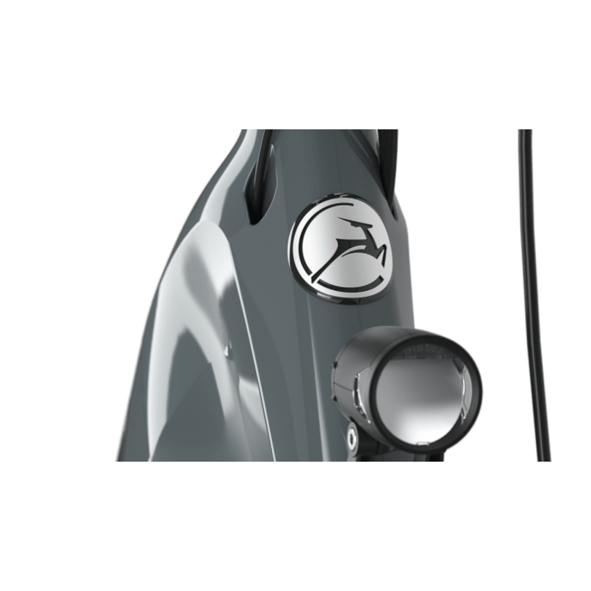 Gazelle 2026 GAZELLE Ultimate T10 LOW