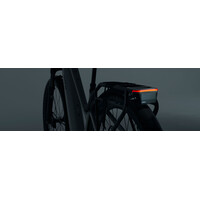 GIANT Radar Aegis Tailight
