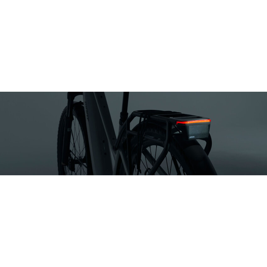 GIANT GIANT Radar Aegis Tailight