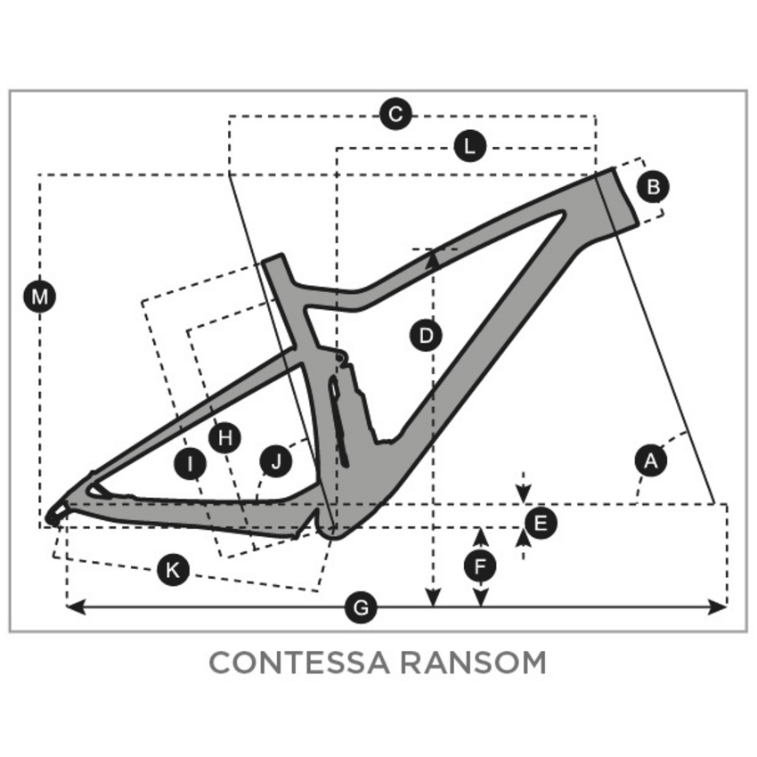 SCOTT SCOTT Contessa Ransom 910