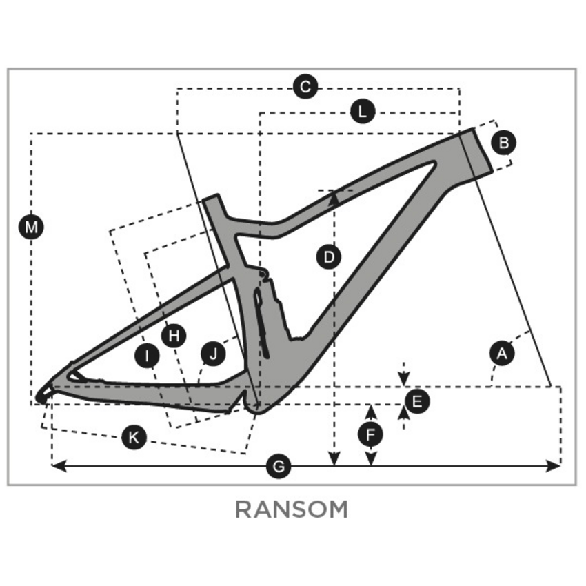 SCOTT SCOTT Ransom 910