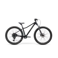 2027 NORCO Charger 26