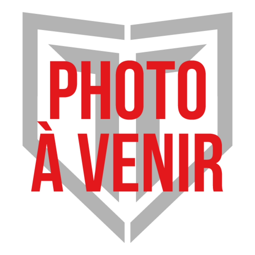VELEC 2027 VELEC A2 13 Ah Modèle S (500watts) VELEC 2027 VELEC A2 13 Ah Modèle S (500watts)