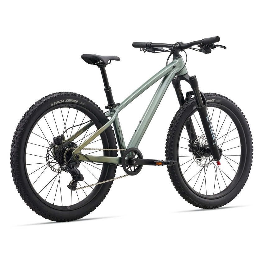 LIV 2027 LIV STP 24 Alpine Green LIV 2027 LIV STP 24 Alpine Green