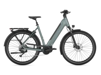 2027 GAZELLE Ultimate T10 Low
