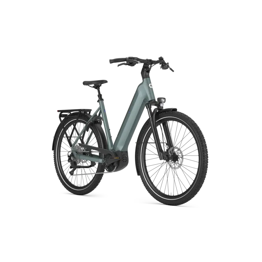 GAZELLE 2027 GAZELLE Ultimate T10 Low