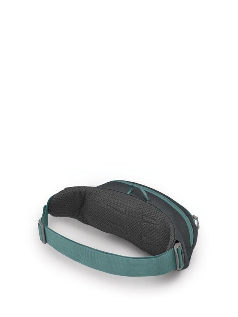 Osprey Osprey Daylite Waist