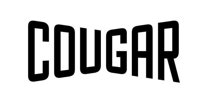 Cougar Shoes Inc