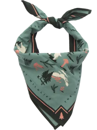 Landmark Proj.  Bandana